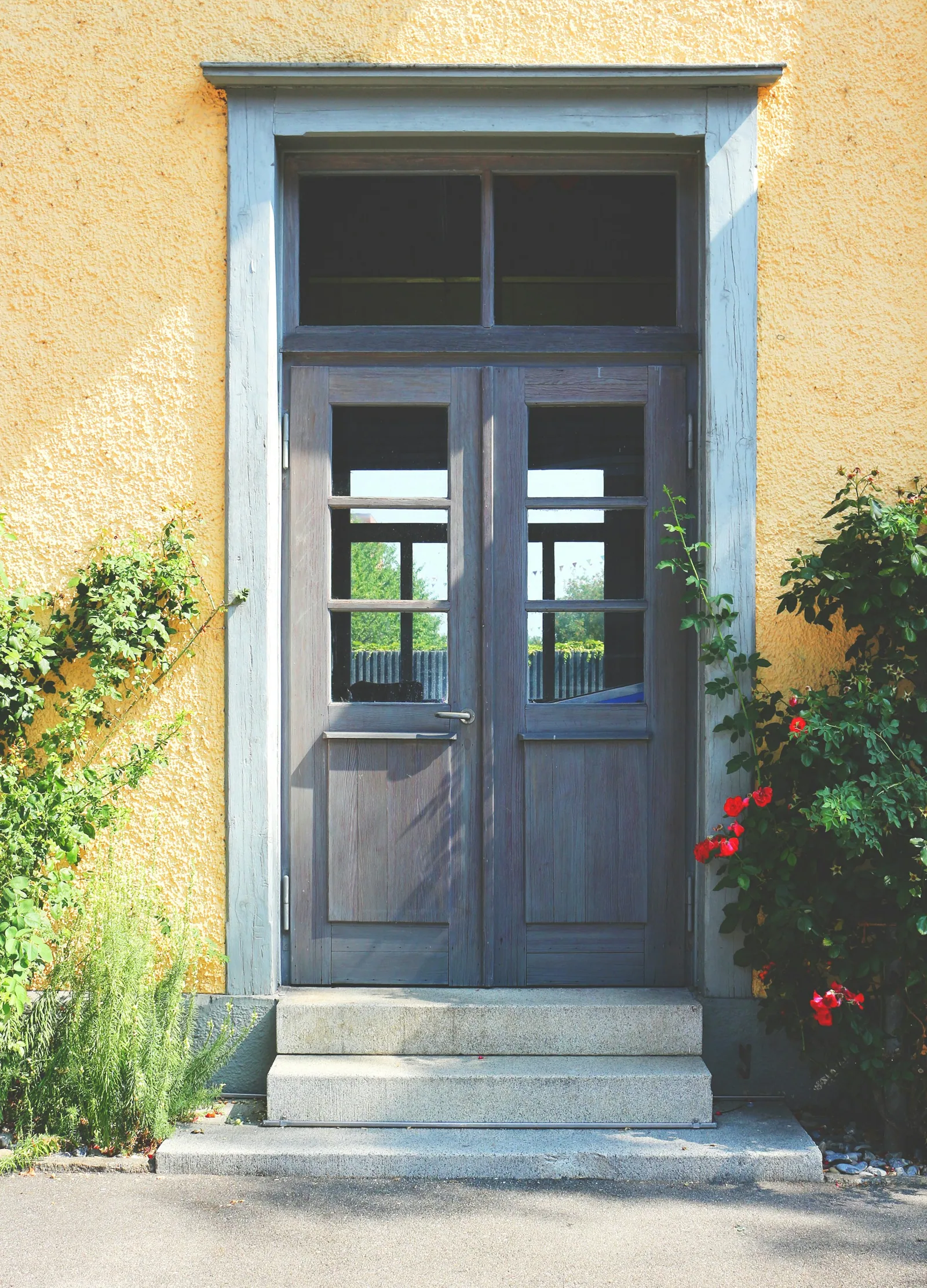 Entrée d’une maison avec porte grise et plantes à Zürich.