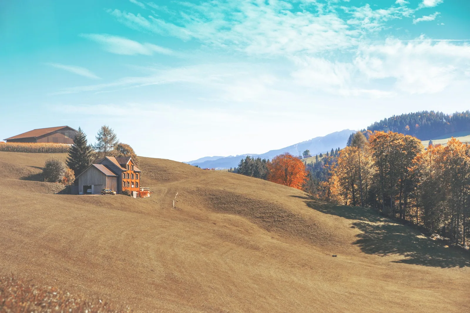 Maison et arbres d’automne dans la campagne de Waldkirch.